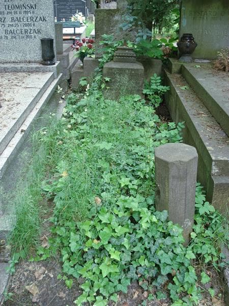 Zdjęcie grobu: Bronisława Czapówna