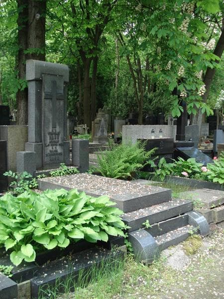 Zdjęcie grobu: Halina Hann