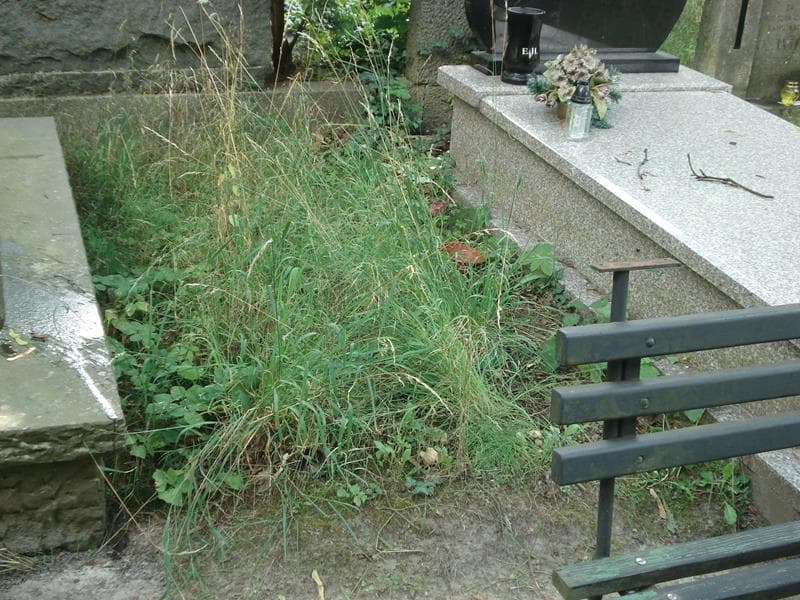 Zdjęcie grobu: Pole Grobowe