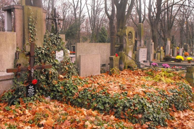 Zdjęcie grobu Wanda Fiutkowska (1)