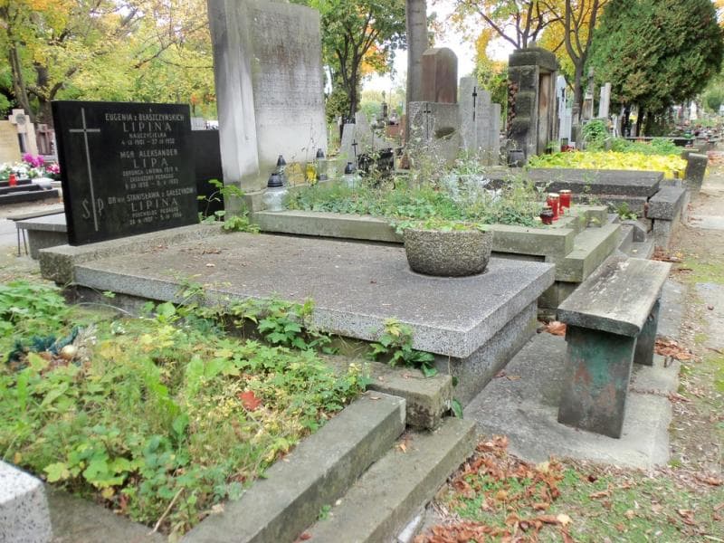 Zdjęcie grobu Aleksander Lipa (1)