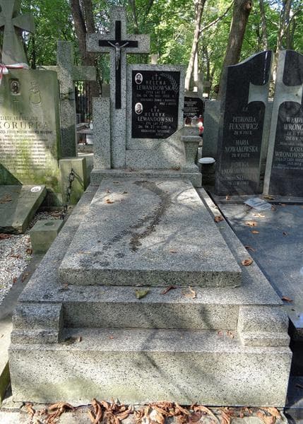 Zdjęcie grobu Henryk Lewandowski (1)