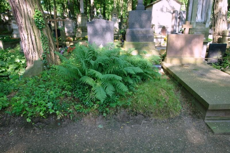 Zdjęcie grobu Pole Grobowe (1)