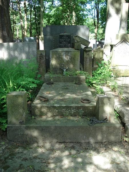 Zdjęcie grobu: Tadeusz Nowotniak