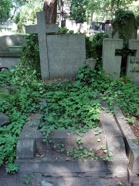 Zdjęcie grobu: Cecylia Oleszyńska