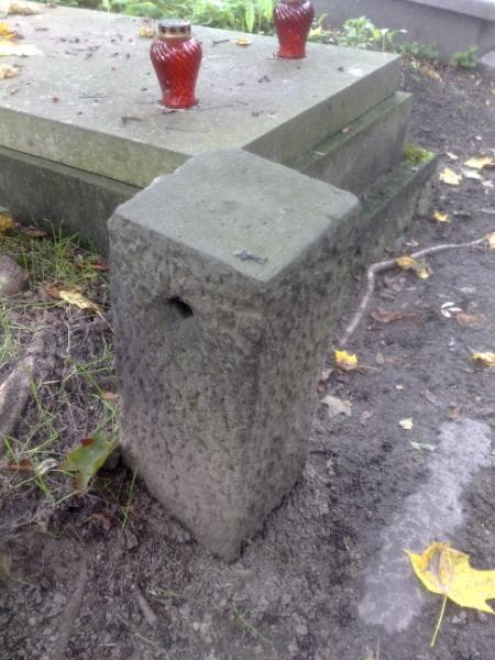 Zdjęcie grobu Henryk Broel-Plater (1)