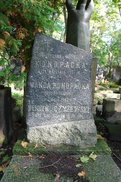 Zdjęcie grobu Henryk Czyżewski (2)