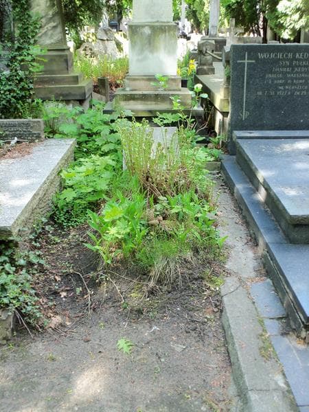 Zdjęcie grobu: Marja Warchałowska