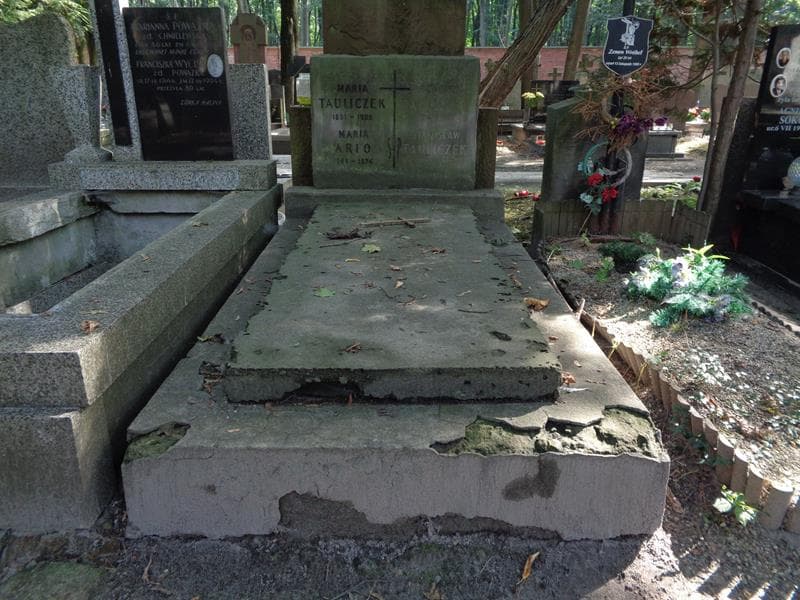 Zdjęcie grobu Ludwika Tauliczek (1)