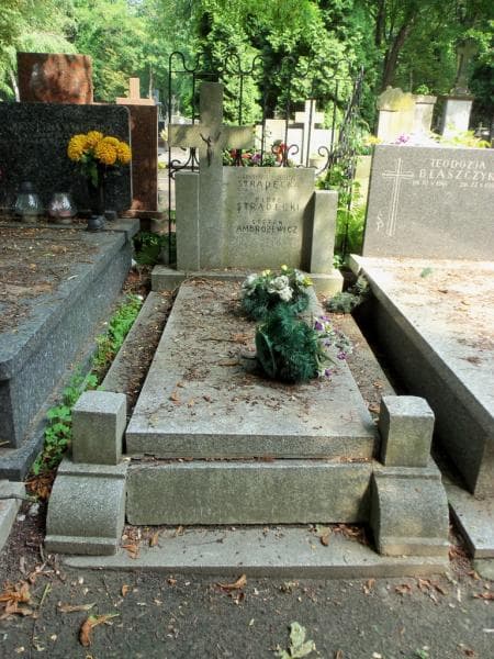 Zdjęcie grobu: Władysława Stradecka