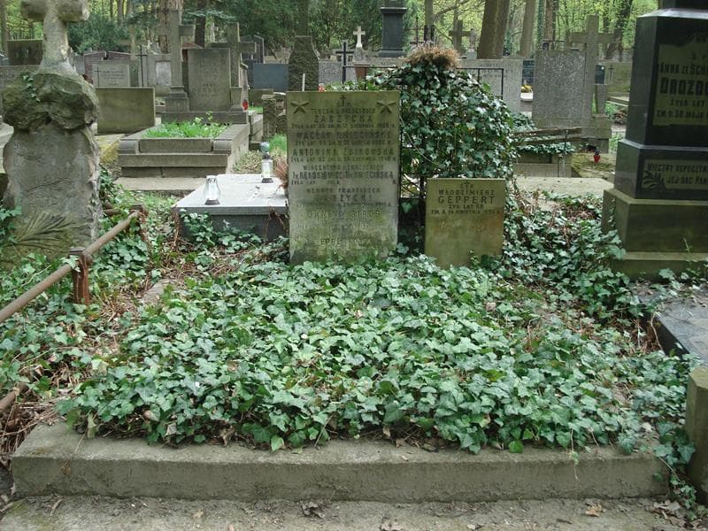 Zdjęcie grobu: Wacław Kmieciński