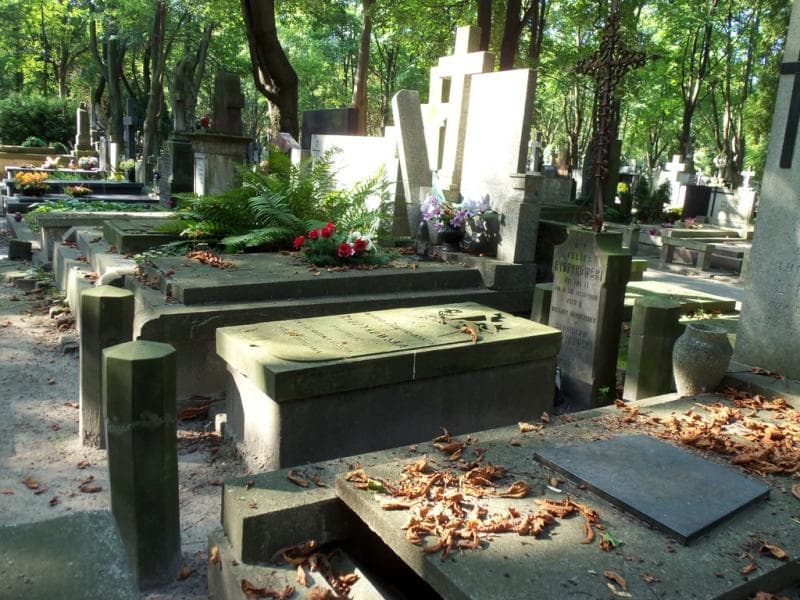 Zdjęcie grobu Stanisław Rydzykowski (1)