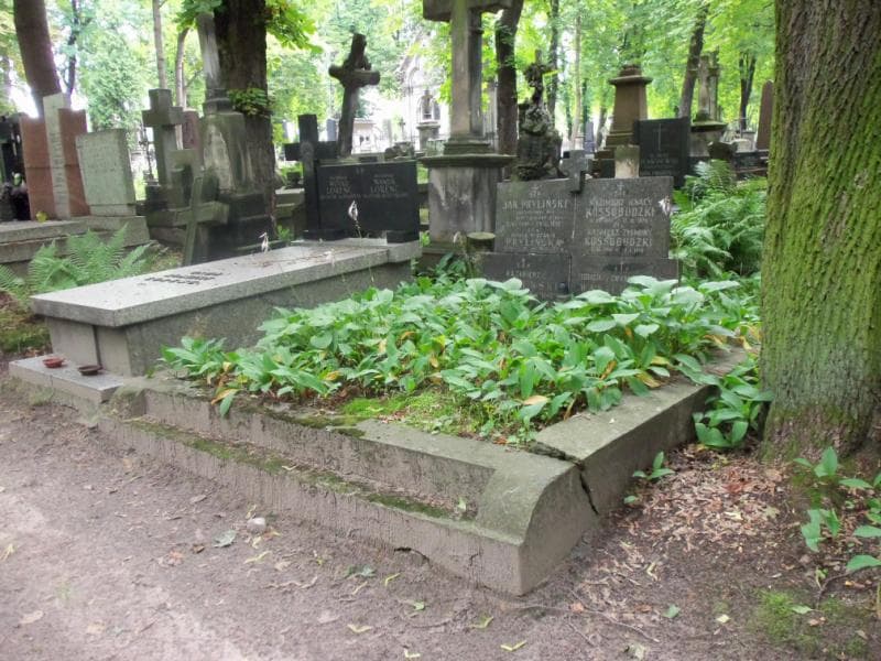 Zdjęcie grobu Kazimierz Wasilewski (2)