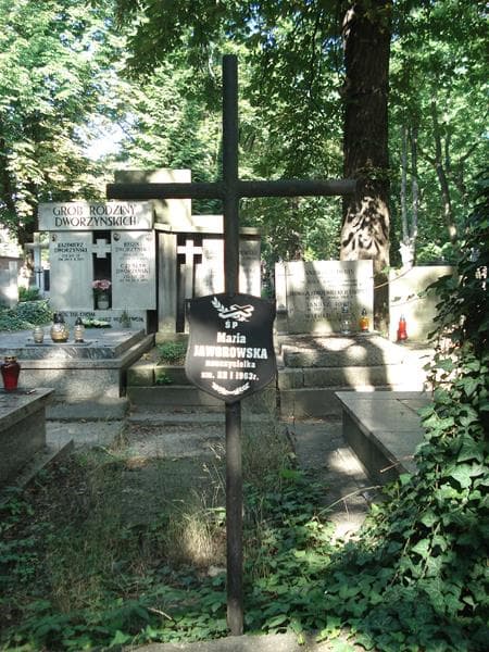 Zdjęcie grobu Maria Jaworowska (1)