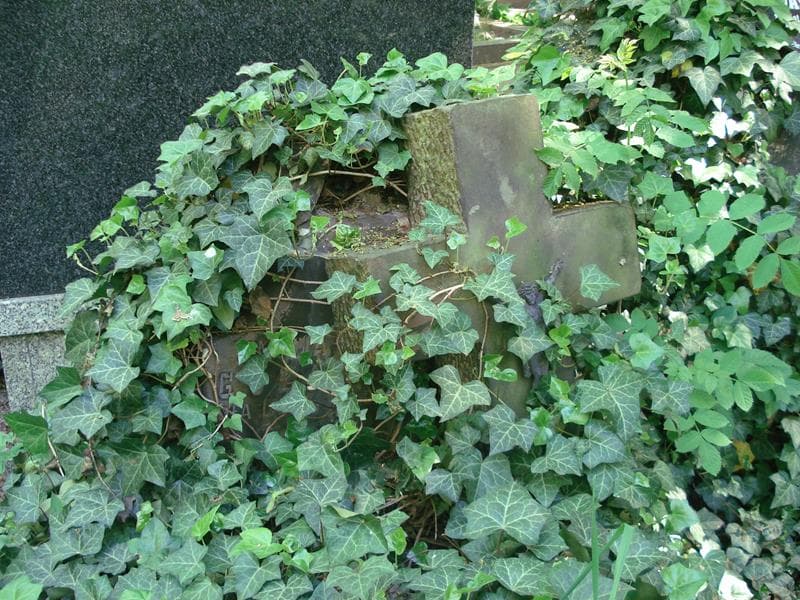 Zdjęcie grobu Emilja Gołaszewska (1)