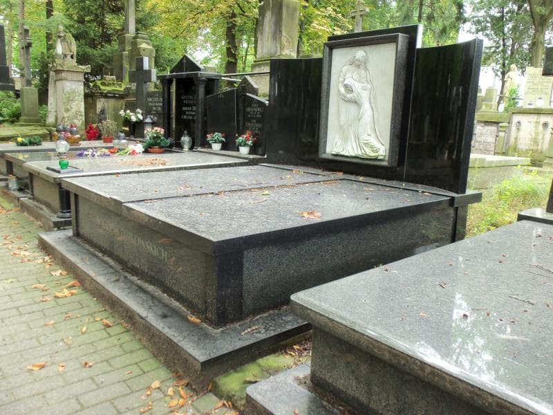 Zdjęcie grobu Dzikowscy (1)