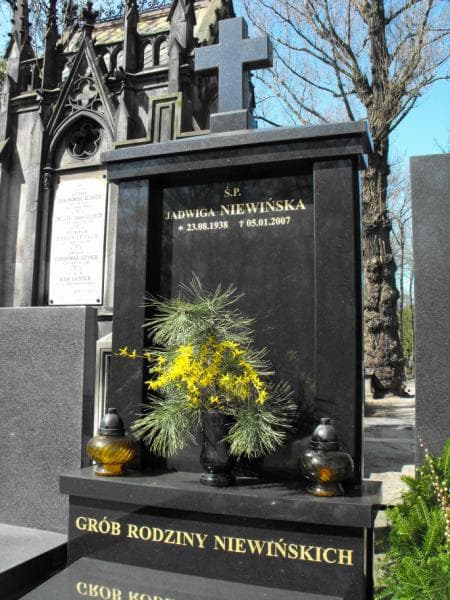 Zdjęcie grobu Jadwiga Niewińska (1)