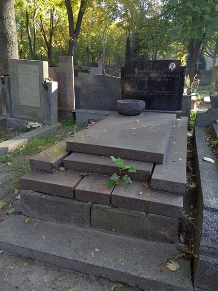 Zdjęcie grobu Witold Jastrzębiec - Szczepkowski (1)