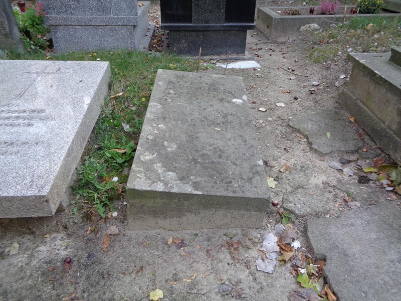 Zdjęcie grobu Józef Tchórzewski (1)