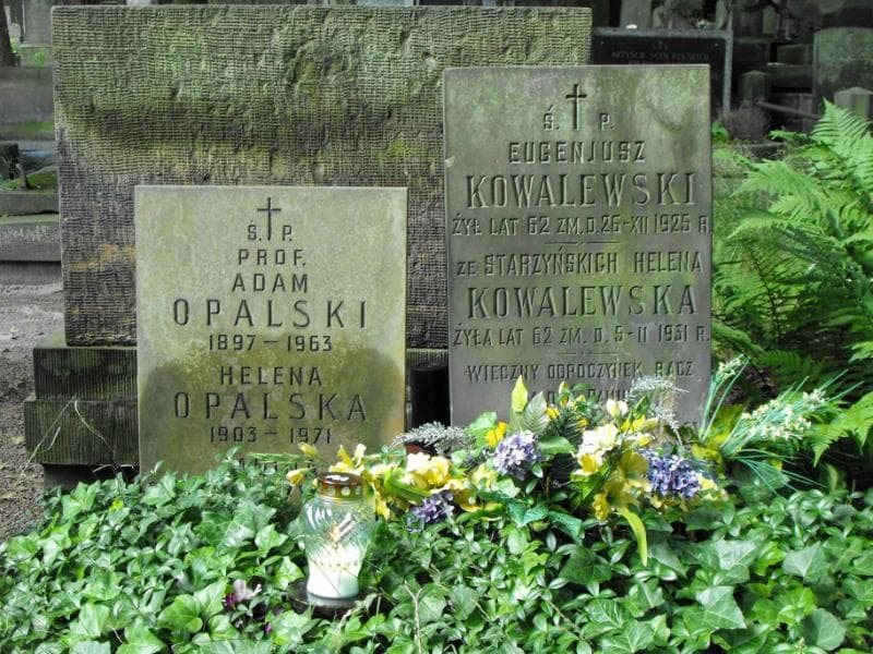 Zdjęcie grobu Adam Opalski (1)
