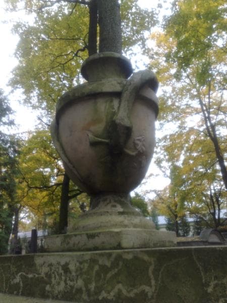 Zdjęcie grobu Marcella Dobrzelewska (2)