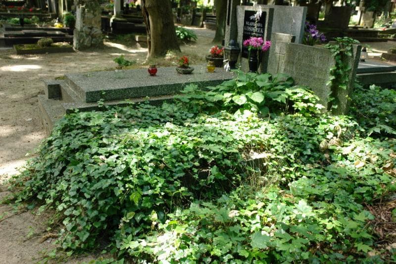 Zdjęcie grobu Jan Czaplicki (1)