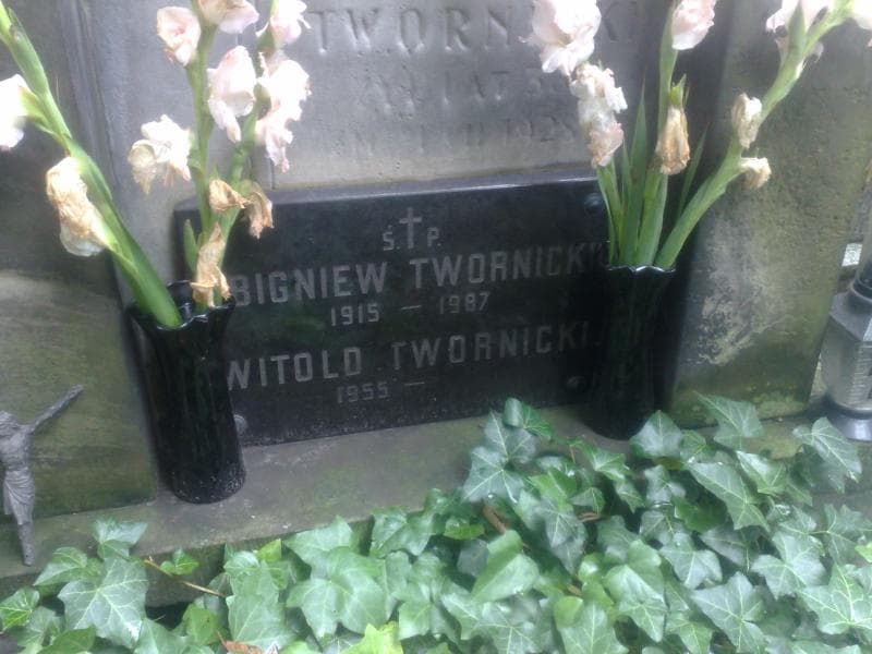 Zdjęcie grobu Witold Twornicki (2)