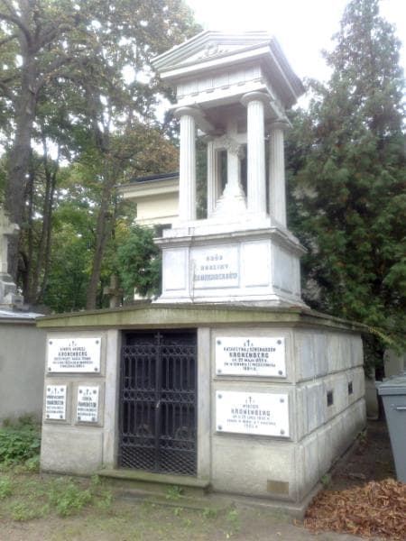 Zdjęcie grobu: Edward Alexander Frankenstein