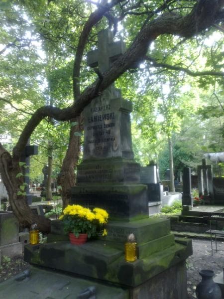 Zdjęcie grobu Anna Wyszyńska (1)