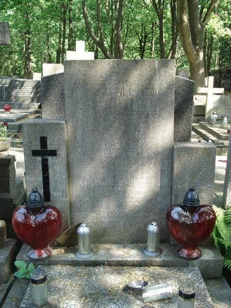 Zdjęcie grobu Hieronima Balicka (1)