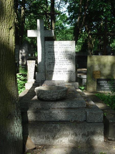Zdjęcie grobu: Stanisław Dejnarowicz