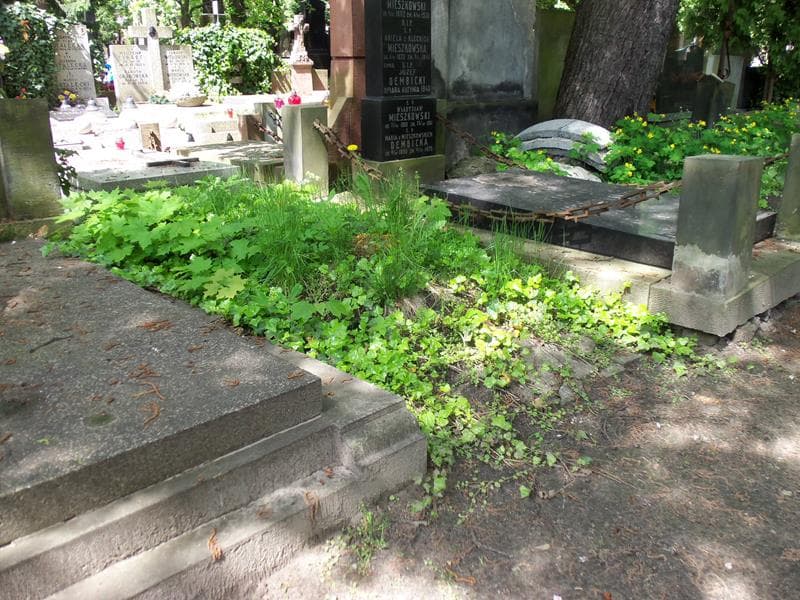 Zdjęcie grobu Teodozja Kobotnik (1)