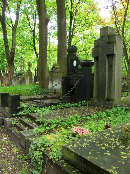 Zdjęcie grobu Feliks Flechner (1)