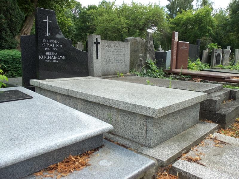 Zdjęcie grobu Eleonora Opałka (1)