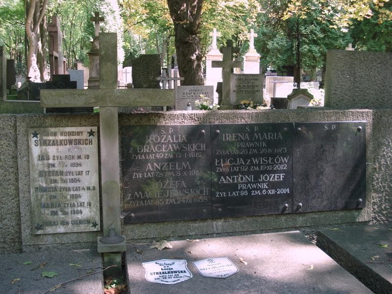 Zdjęcie grobu Stefan Strzałkowski (2)