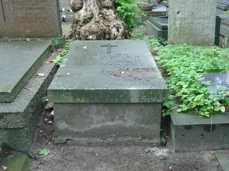 Zdjęcie grobu: Helena Domańska
