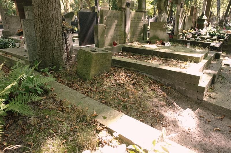 Zdjęcie grobu: Feliks Strzyżewski