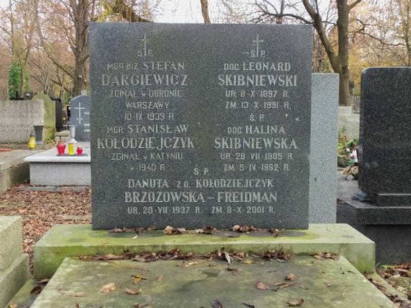 Zdjęcie grobu Danuta Brzozowska-Freidman (2)