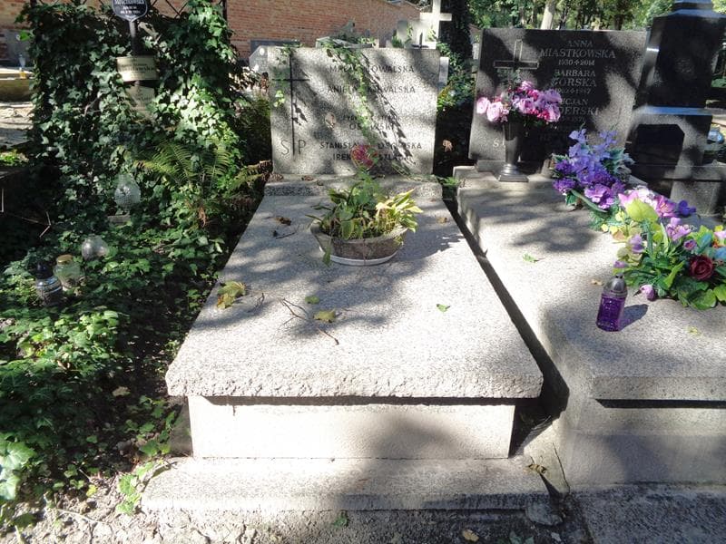 Zdjęcie grobu Zygmunt Stefan Osowski (1)