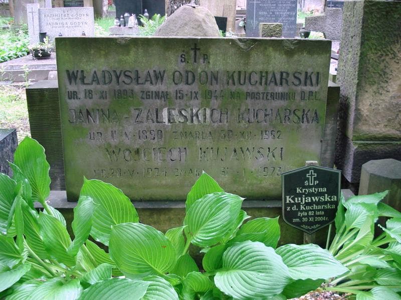 Zdjęcie grobu Władysław Odon Kucharski (2)