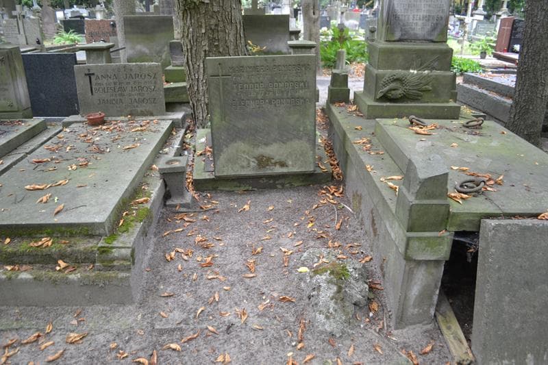 Zdjęcie grobu Teodor Pomorski (1)