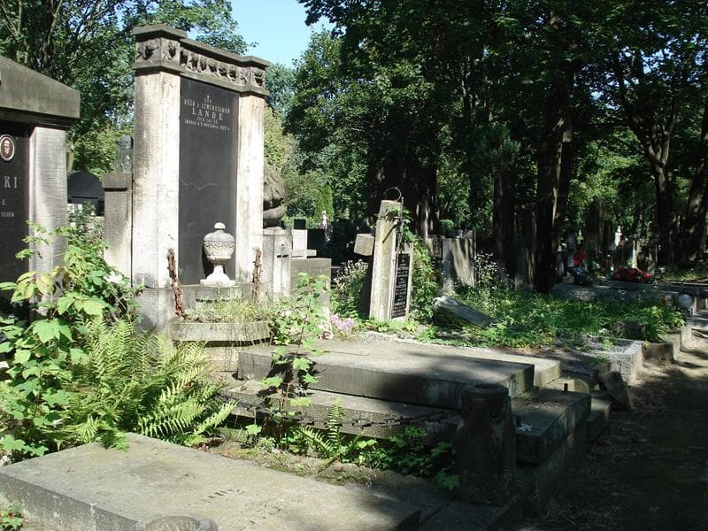 Zdjęcie grobu Róża Lande (1)