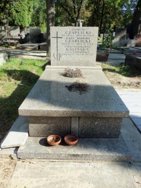 Zdjęcie grobu: Jerzy Bernard Czaplicki