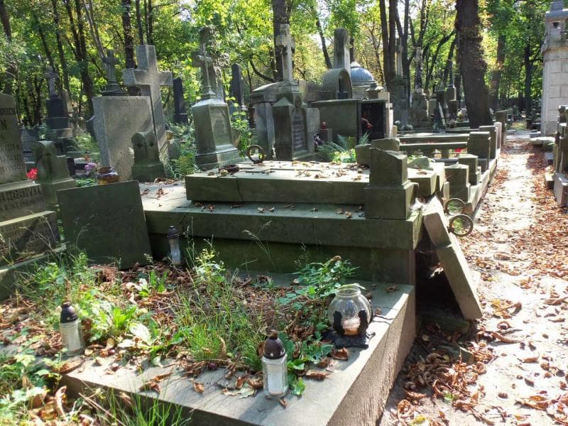 Zdjęcie grobu Mieczysław Pułaski (2)