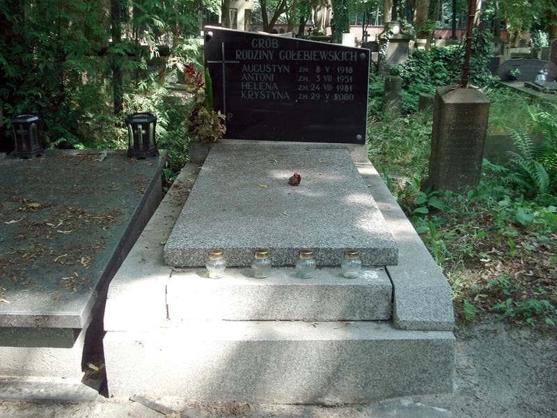 Zdjęcie grobu: Augustyn Gołębiewski