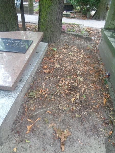 Zdjęcie grobu: Pole Grobowe