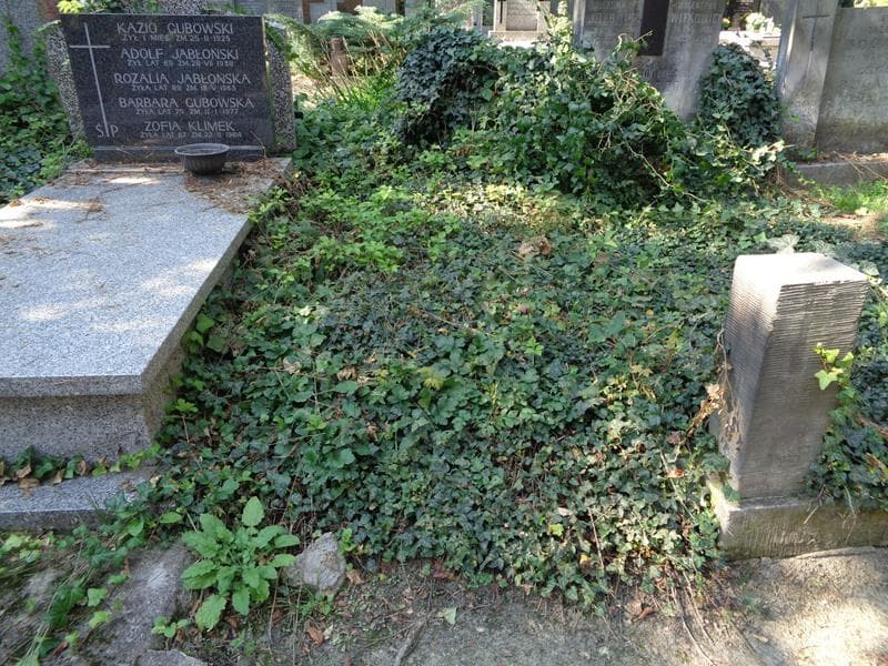 Zdjęcie grobu: Pole Grobowe