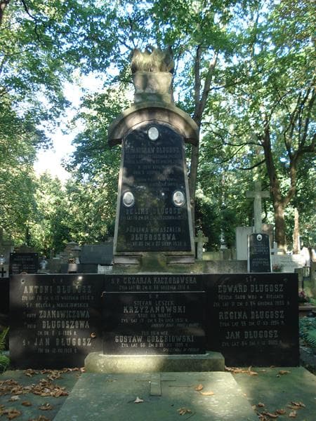 Zdjęcie grobu Feliks Długosz (2)