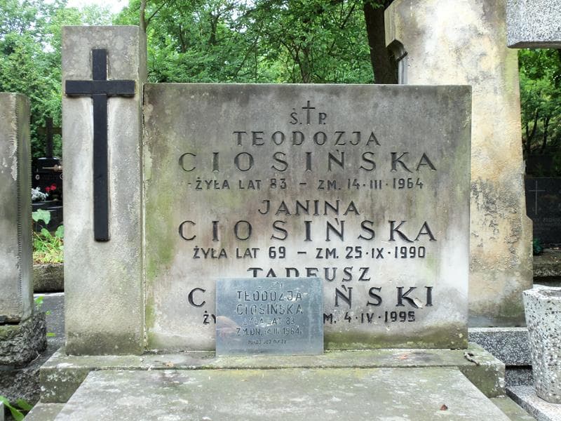 Zdjęcie grobu Tadeusz Ciosiński (2)