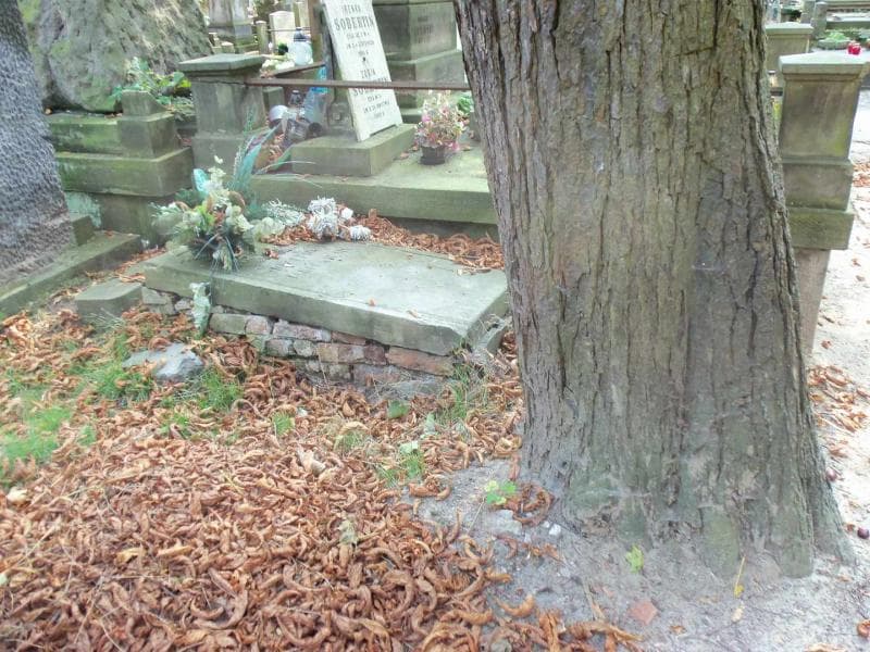 Zdjęcie grobu Waleria Jarocka (1)